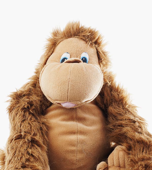 product-1-gallery-img-1 l